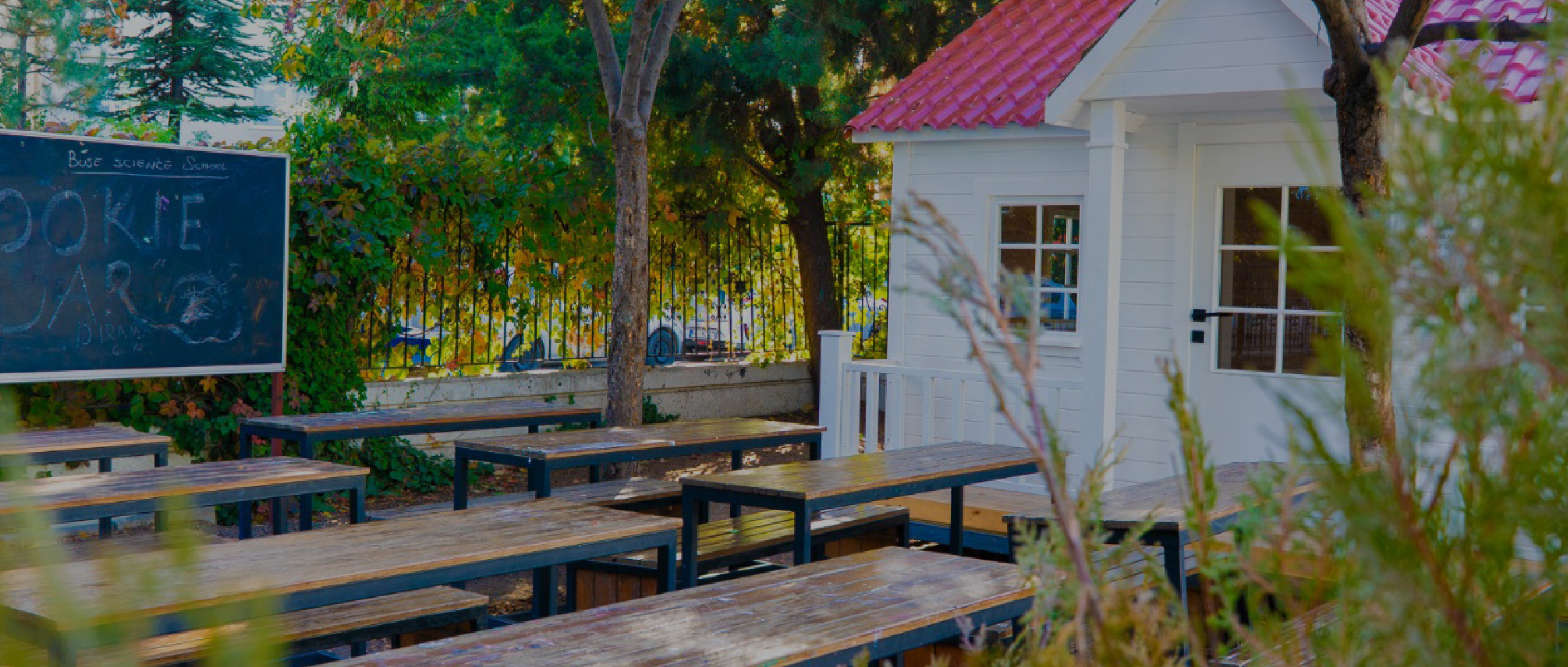 Why International School